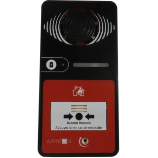 ALARME TYPE 4 A PILE AVEC FLASH NOIRE