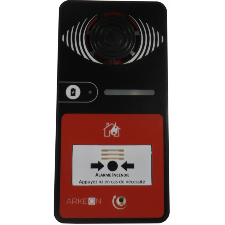 ALARME TYPE 4 A PILE AVEC FLASH NOIRE