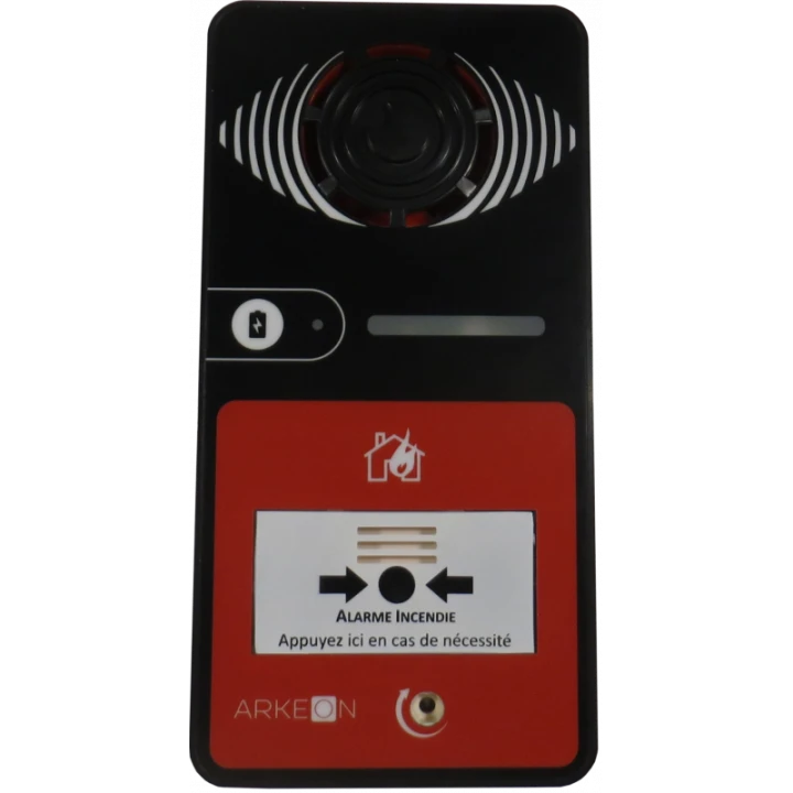 ALARME TYPE 4 A PILE AVEC FLASH NOIRE