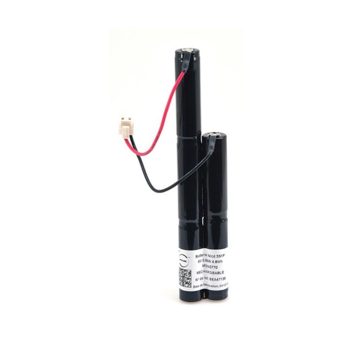 Batterie De Maintenance - Maintenance - Batterie Cn 6V 600Mah Ecosafe