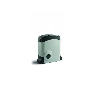 Moteur Coulissant 500Kg 24V
