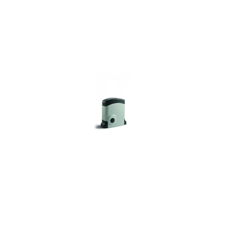 Moteur Coulissant 500Kg 24V