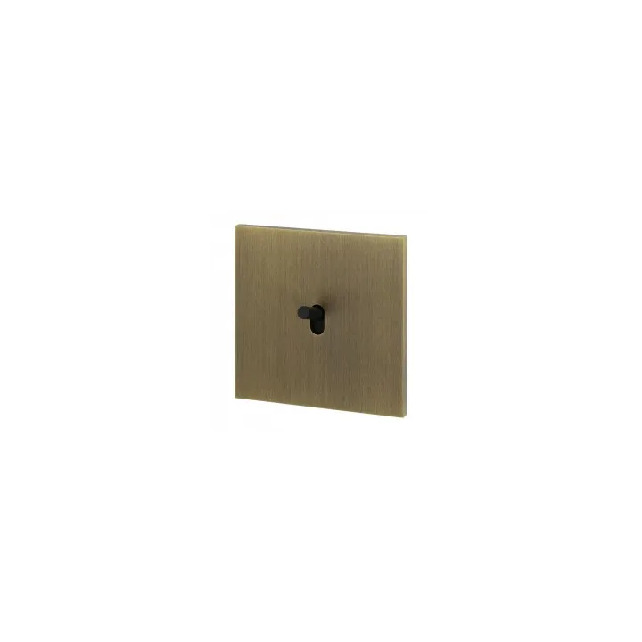 Art D'Arnould Univer Epure Va-Et-Vient Ou Interrupteur 10A - Bronze