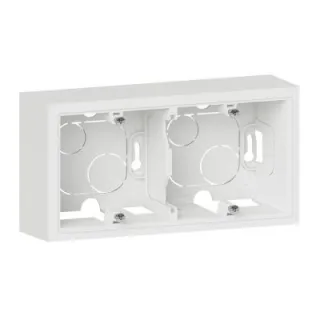 Cadre Saillie 2 Postes Dooxie Finition Blanc