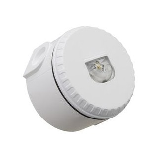 DISP VISU ALARME FEU R B. HAUTE IQ8L-W