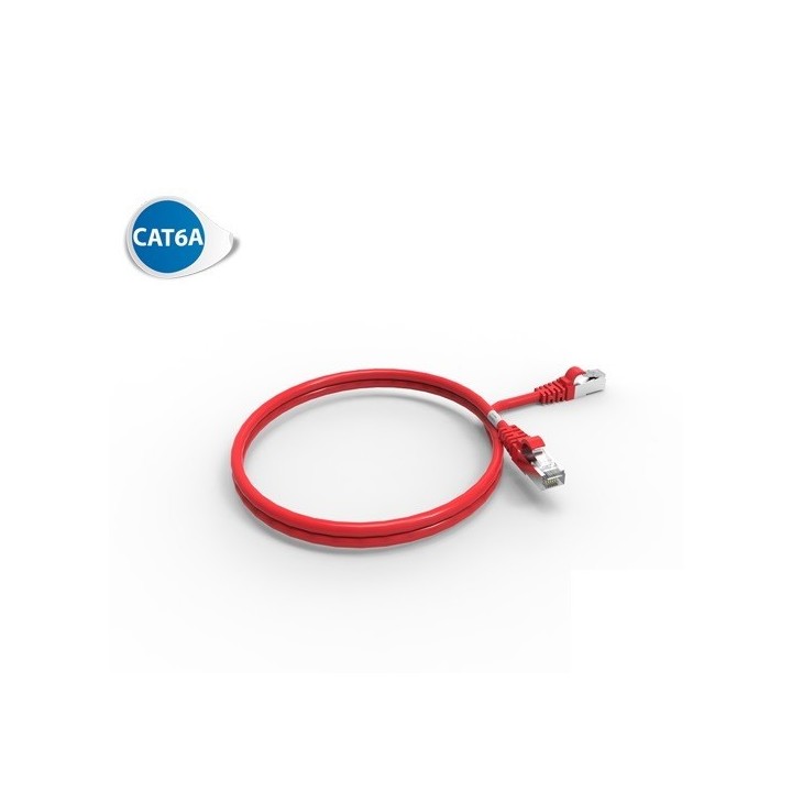CORDON RJ45 cat6A SFTP  mâle//mâle 1m.    ROUGE*