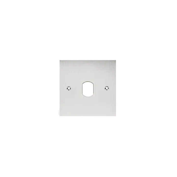 Façade Inox Percée Diamètre 25 Mm Pour Lecteur Vigk+ Pour Fixation Sur Pot 67 Mm