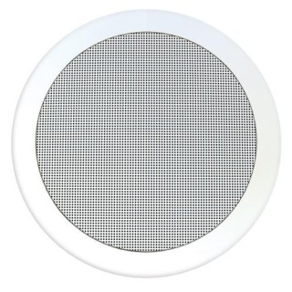 Haut-Parleur De Plafond