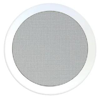 Haut-Parleur Encastrable 5 Pou 1,5-3-6W/100V Et 6W/8Ω