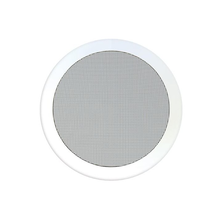 Haut-Parleur De Plafond