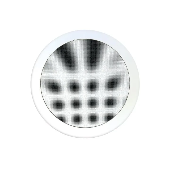 Haut-Parleur Encastrable 5 Pou 1,5-3-6W/100V Et 6W/8Ω