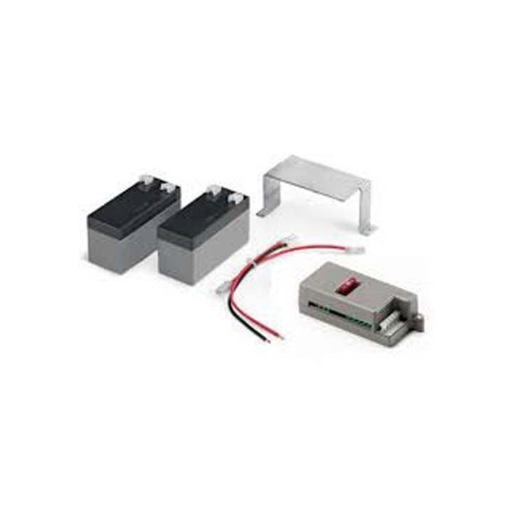 Ensemble Chargeur+Batteries 24V Pour Motoréduct À Tirage