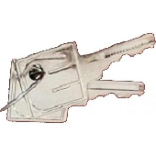 Cle D'Ouverture Capot/Portillon Pour Barriere Cardin/2 Cle