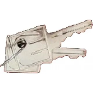 Badge Capot/Portillon Pour Barriere - 2 Cle