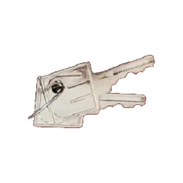Cle D'Ouverture Capot/Portillon Pour Barriere Cardin/2 Cle