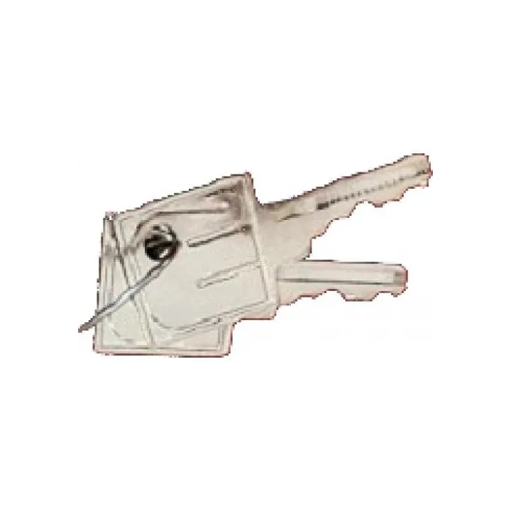 Badge Capot/Portillon Pour Barriere - 2 Cle