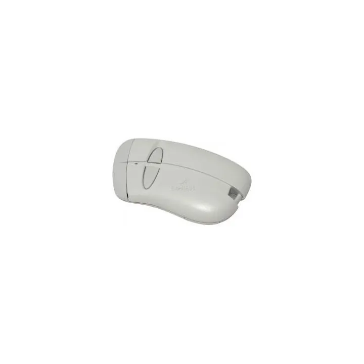 Emetteur 2 Canaux 433 Mhz Am Rolling Code Codage 39