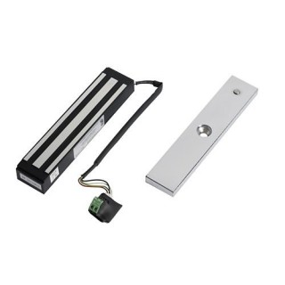 Ventouse Encastree 300Kg Av Reed