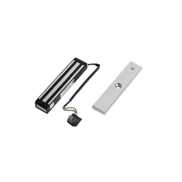 Ventouse Encastree 300Kg Av Reed