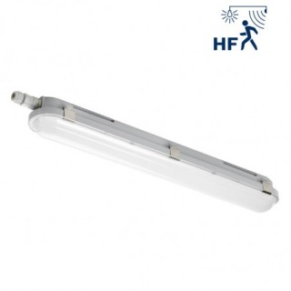 DRAKKAR II ETANCHE LED GR 43W 4000K 6000Lm DET (D)