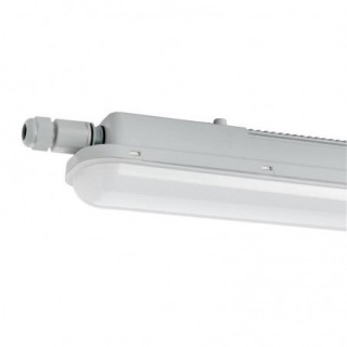 Hollywood 36W-1200Mm-4000K-Irc80-Ip65-Ik09 4420Lm Cablage Traversant