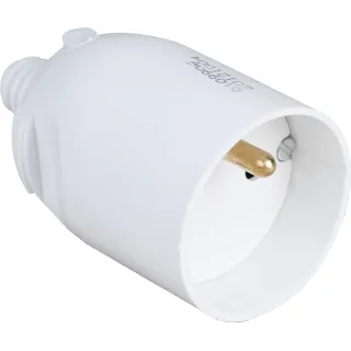 16A Femelle Coiffe Blanche