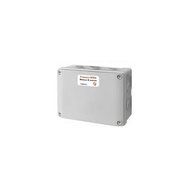 Module Tasman-Lcd Ms8 - 8 Sortie