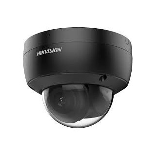 DS-2CD2143G2-IS(2.8mm)(BLACK) AcuSense,4MP25,120dB,IR30m,I/O 1/1