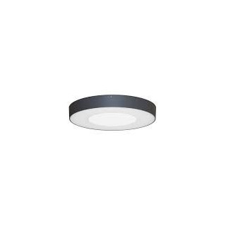 ASPI 1 SENSOR PLUS 30W 3000Lm IP54 ANTHRACITE