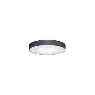 Applique Aspus 1 Sensor Plu 30W 3000Lm Ip54 Anthracite