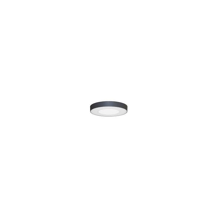 ASPI 1 SENSOR PLUS 30W 3000Lm IP54 ANTHRACITE