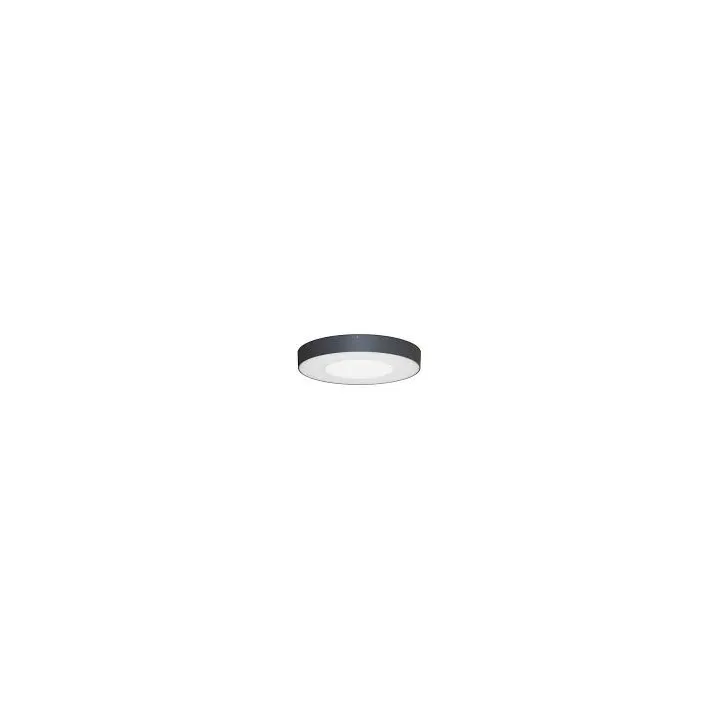 Applique Aspus 1 Sensor Plu 30W 3000Lm Ip54 Anthracite