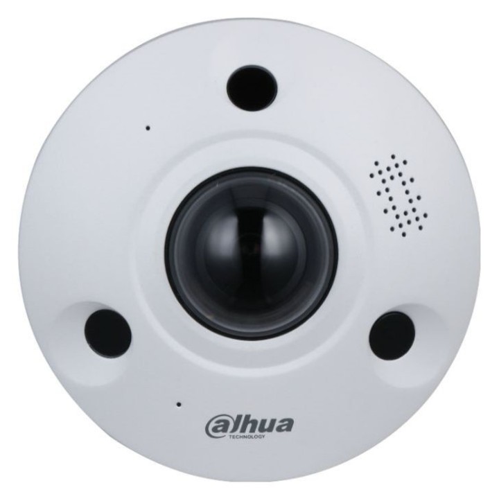 Fisheye Ip Wizmind, 12Mp,Ir10M,Ip67/Ik10,12Vdc/Poe+, Micro +Hp Intégré
