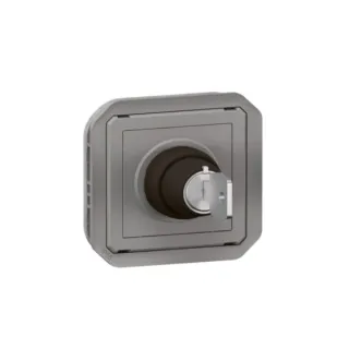 Interrupteur À Badge Ronis 2 Positions Plexo Composable Gris