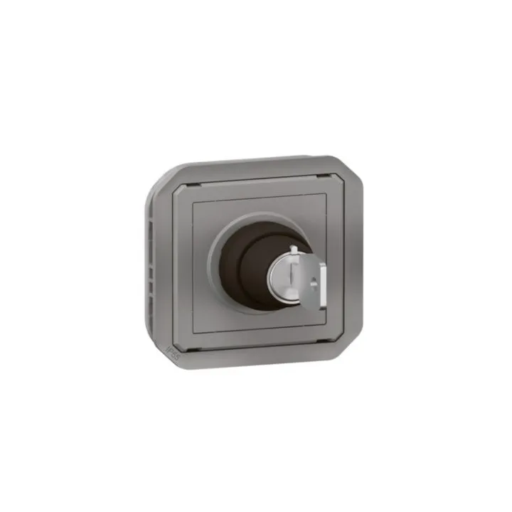 Interrupteur À Badge Ronis 2 Positions Plexo Composable Gris