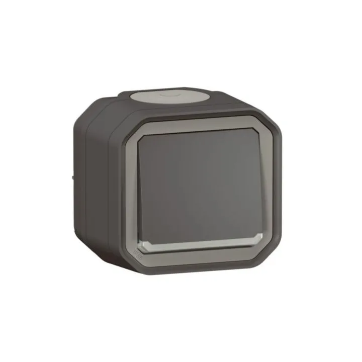 Interrupteur Ou Va-Et-Vient Témoin 10Ax 250V Plexo Complet Saillie Anthracite