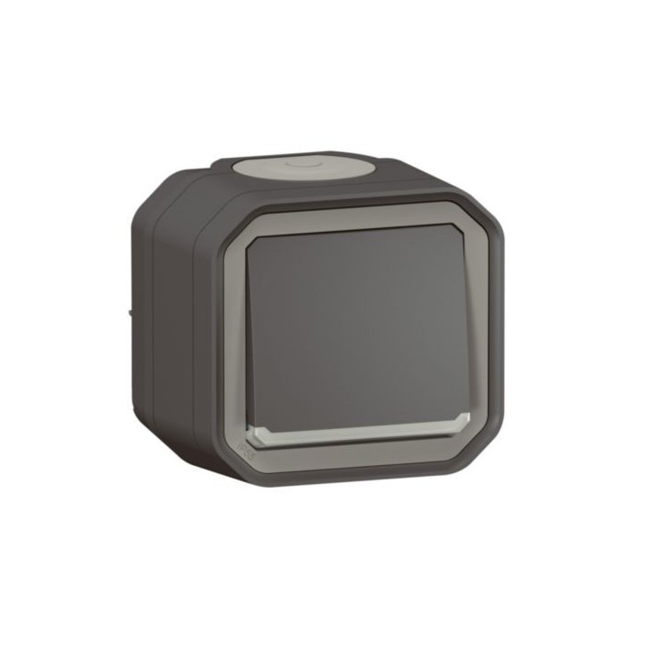 Interrupt ou va-et-vient lumineux10AX 250V Plexo complet saillie