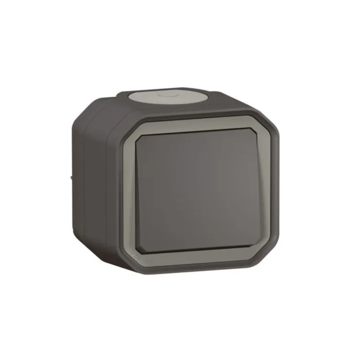 Interrupteur Ou Va-Et-Vient 10Ax 250V Plexo Complet Saillie Anthracite