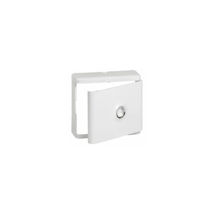 Habillage + Porte Blanche Pour Platines De Branchement Drivia - Blanc Ral9003