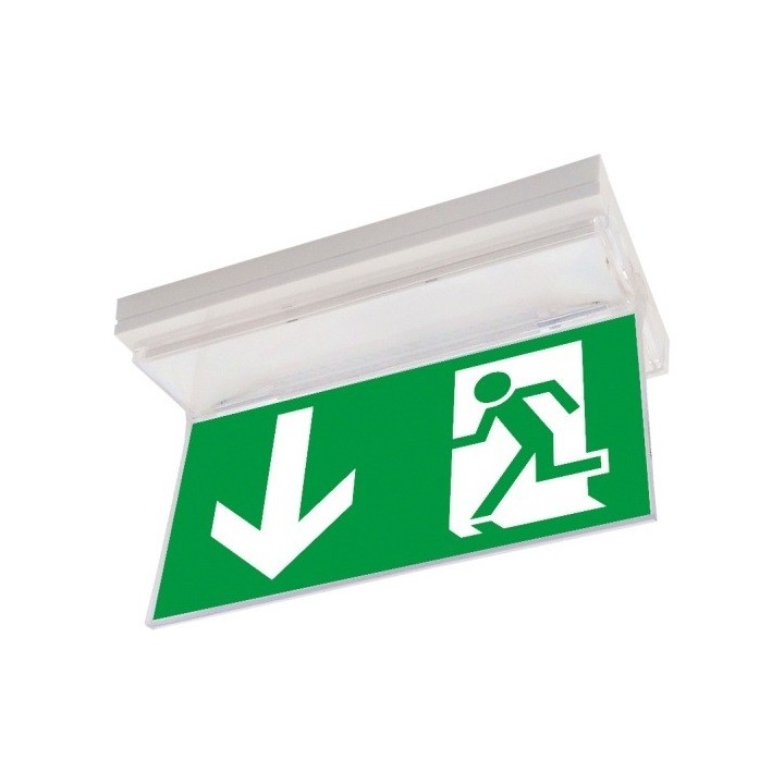PLEXI SUSPENDU (SET DE 3 PICTO INCLUS)