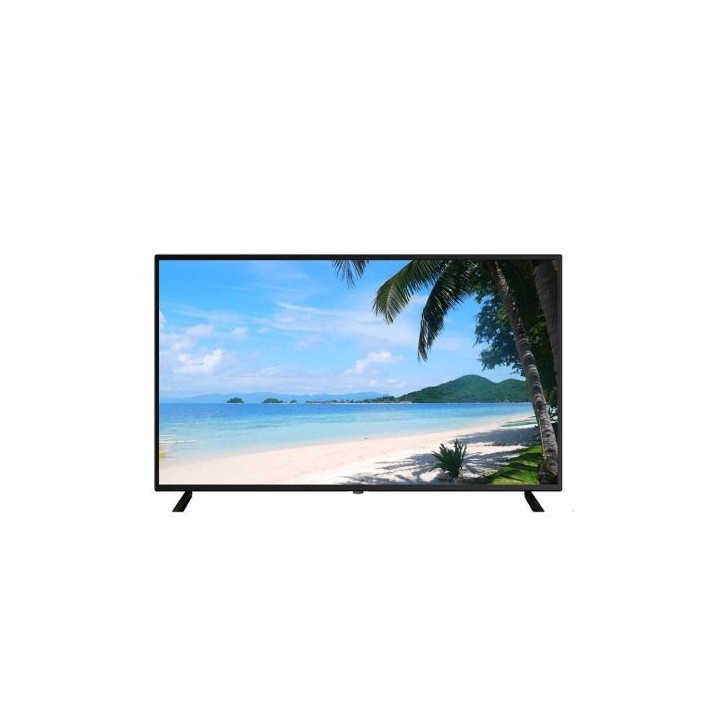 Moniteur Led 55 Pouces 4K - Vga/Hdmi