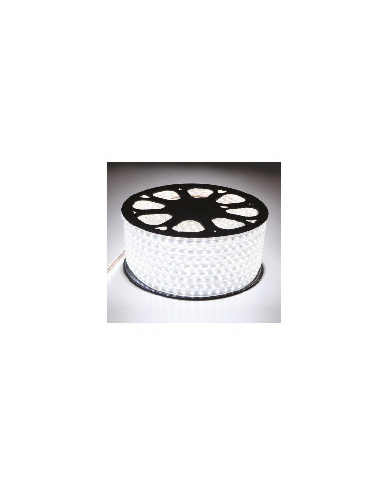 Bobine Led 5050 6000K 50 Metres 7W/M 230V Ip65