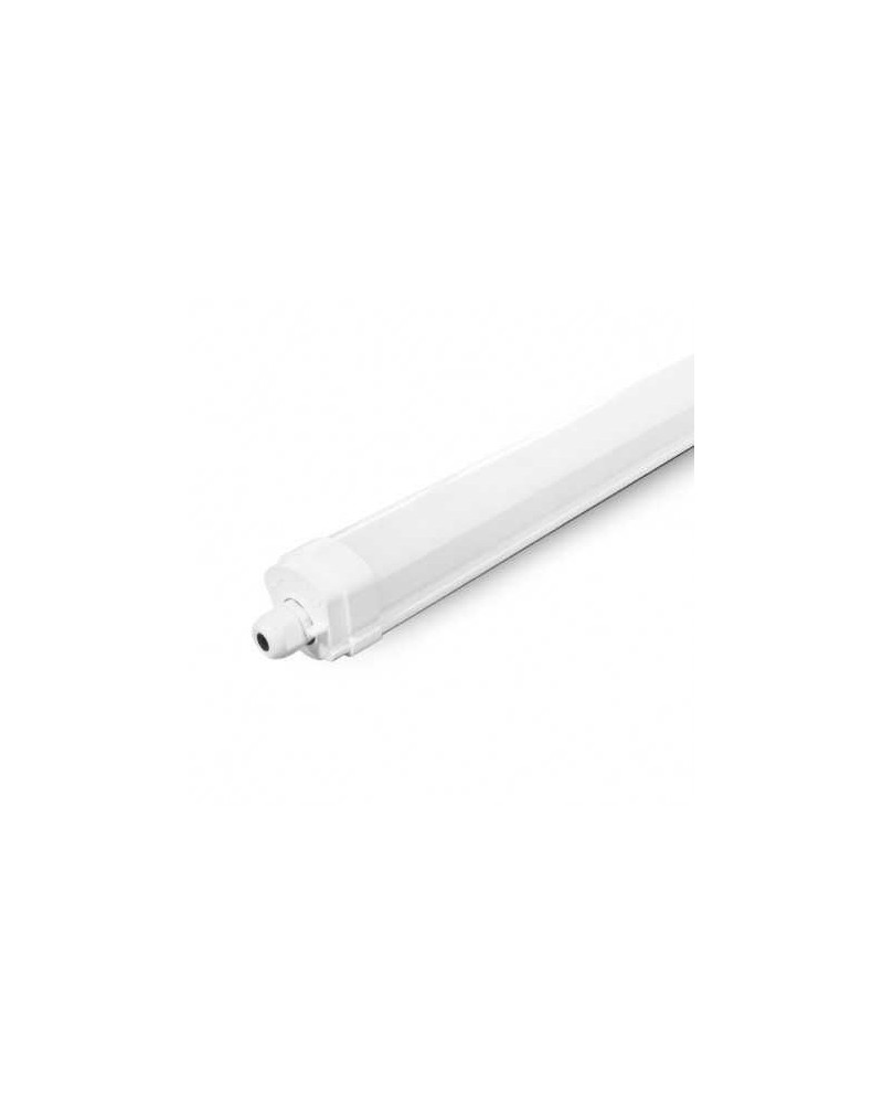 Danube Etanche Led Int 1555 X 59Mm 50W 4000K Ip65 Ik08 Tra Connec Miidex Vision-El