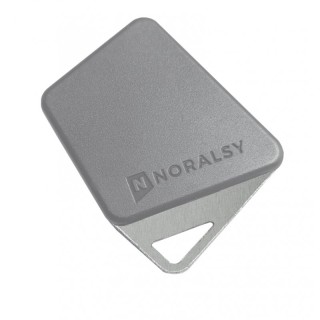 Badge mifare format clé gris code site Noralsy*