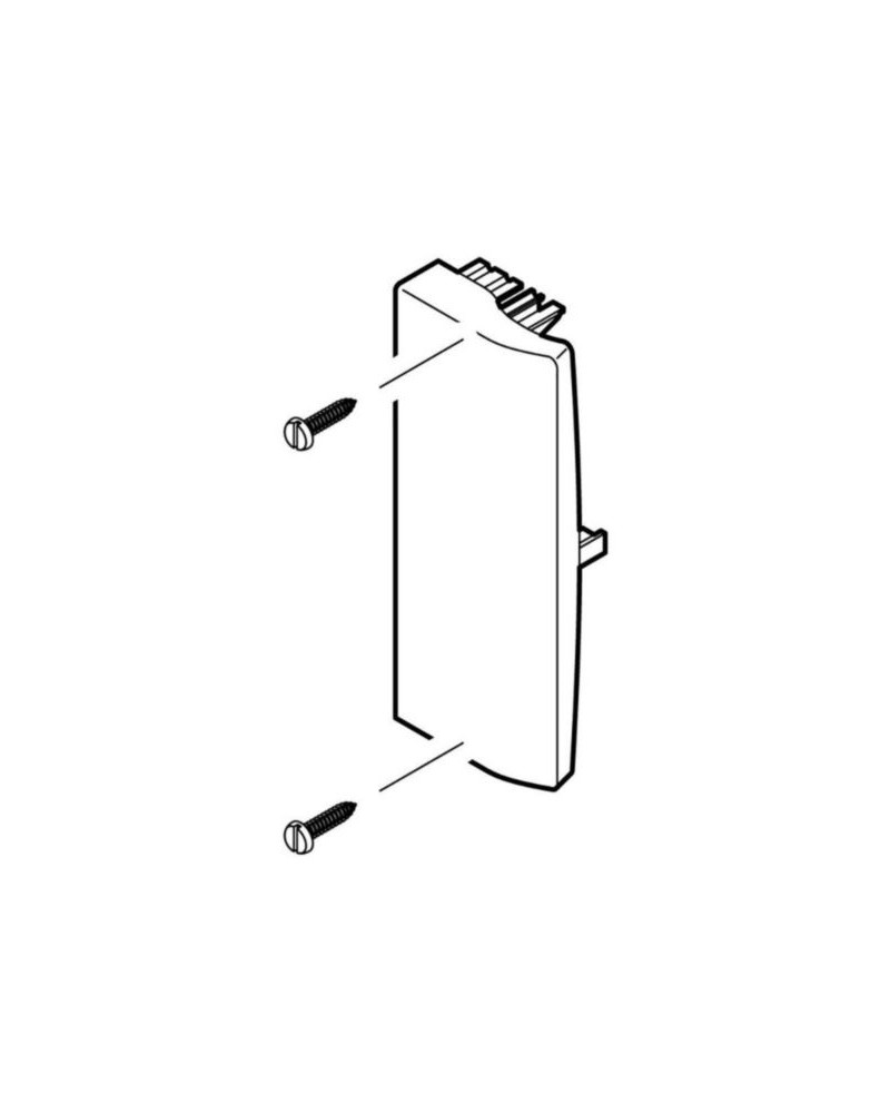 Embout - Pour Goulotte Logix Et Logix Zh 190X50Mm - Blanc Artic