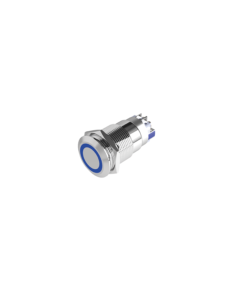 Bouton Poussoir Inox Bleu 19 Mm No+Nc 12V Dc Bornier À Vis