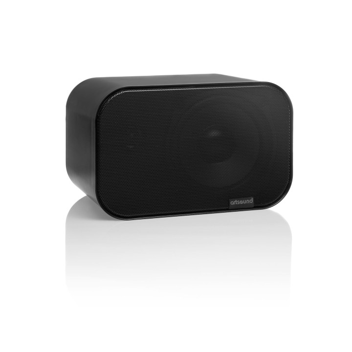 ENCEINTE   ligne 100V 20Wmax  2voies NOIRE l'unité