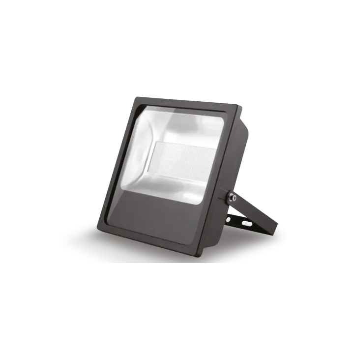 Projecteur New York, 100 Watts, Blanc Naturel 4000K