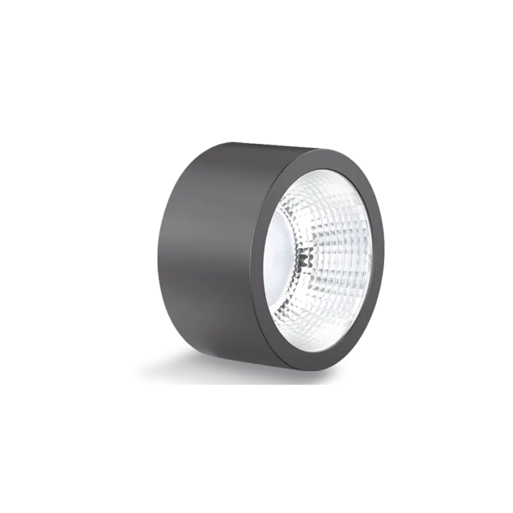 Speqtris Plafonnier Downlight Sunset 13W Cct Changing Noir
