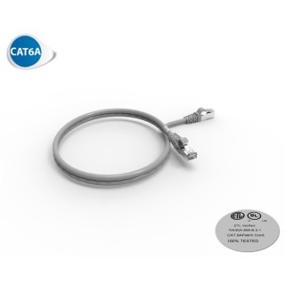 CORDON RJ45 CAT6A SFTP 100 OHMS LSOH GRIS LG 1M*